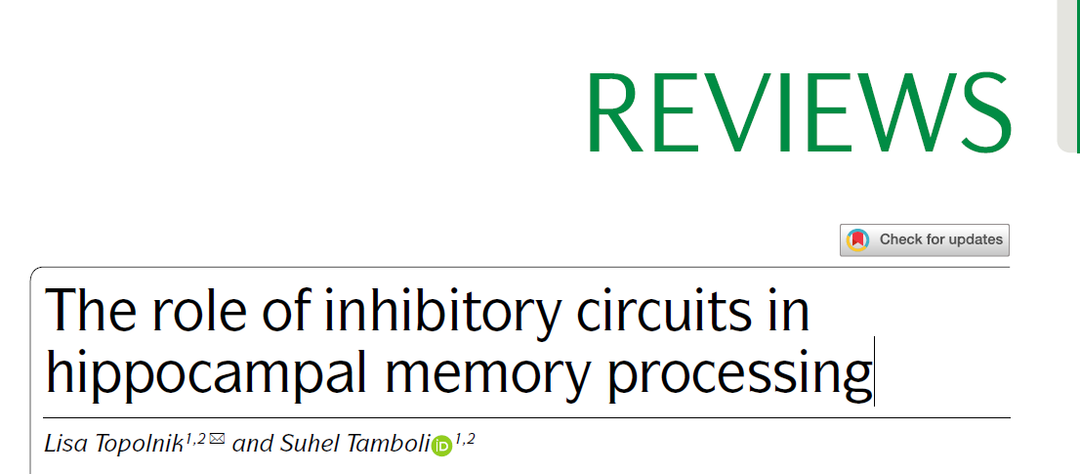 The Role of Inhibitory Circuits in Hippocampal Memory Processing