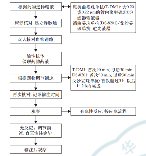Standards and Guidelines for ADC Drug Infusion