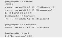 Mastering Linux Basics: Essential Commands (Part 2)