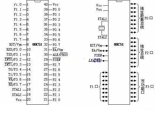 8051 Microcontroller Pin Diagram and Function Introduction
