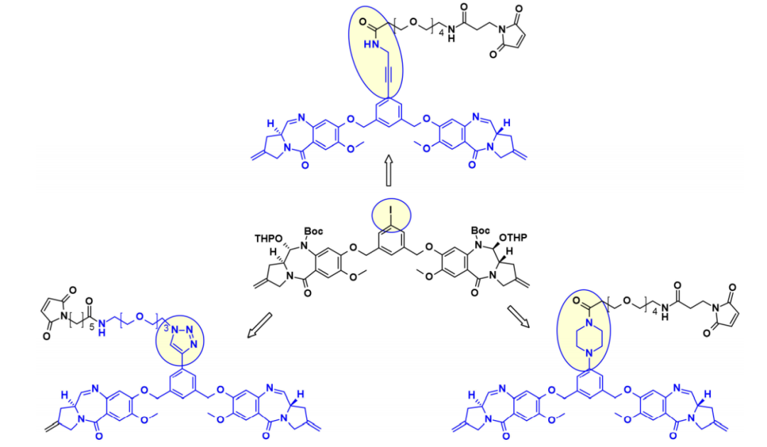 Overview of Antibody-Drug Conjugates (ADCs)