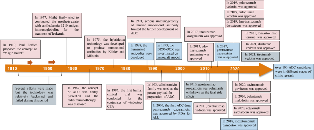 Technical Insights into 15 ADC Drugs and Future Innovations