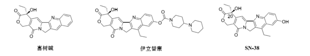 Choosing ADC Toxins: IC50, Mechanisms, and Clinical Insights