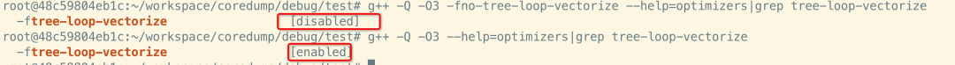 Exploring GCC Compilation Optimization Details from a Crash Issue