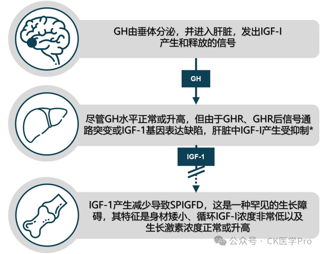 Challenges in Treating Severe Primary IGF1 Deficiency: An International Perspective
