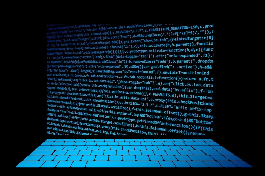 Usability Versus Professionalism: Windows and Linux Showdown