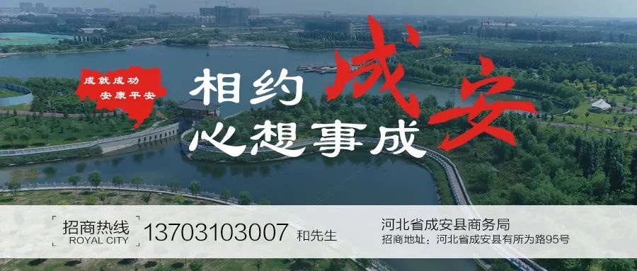 Analysis Report on 30 Domestic Power Management Chip Manufacturers
