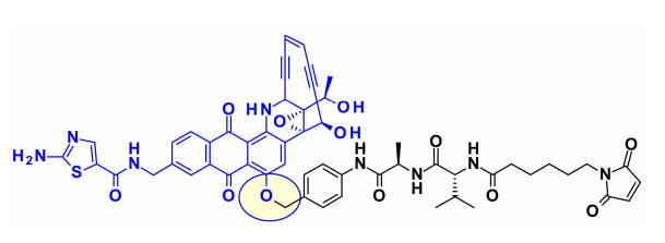 Overview of Antibody-Drug Conjugates (ADCs)