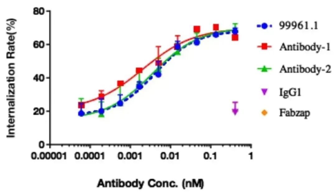 Innovative Delivery: Comprehensive Analysis of 'Magic Bullet' ADC Drug Screening