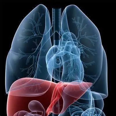 Comprehensive Review of Current Advances in Intrahepatic Cholangiocarcinoma Treatment