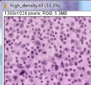 Unlocking Various Technical Skills in ImageJ