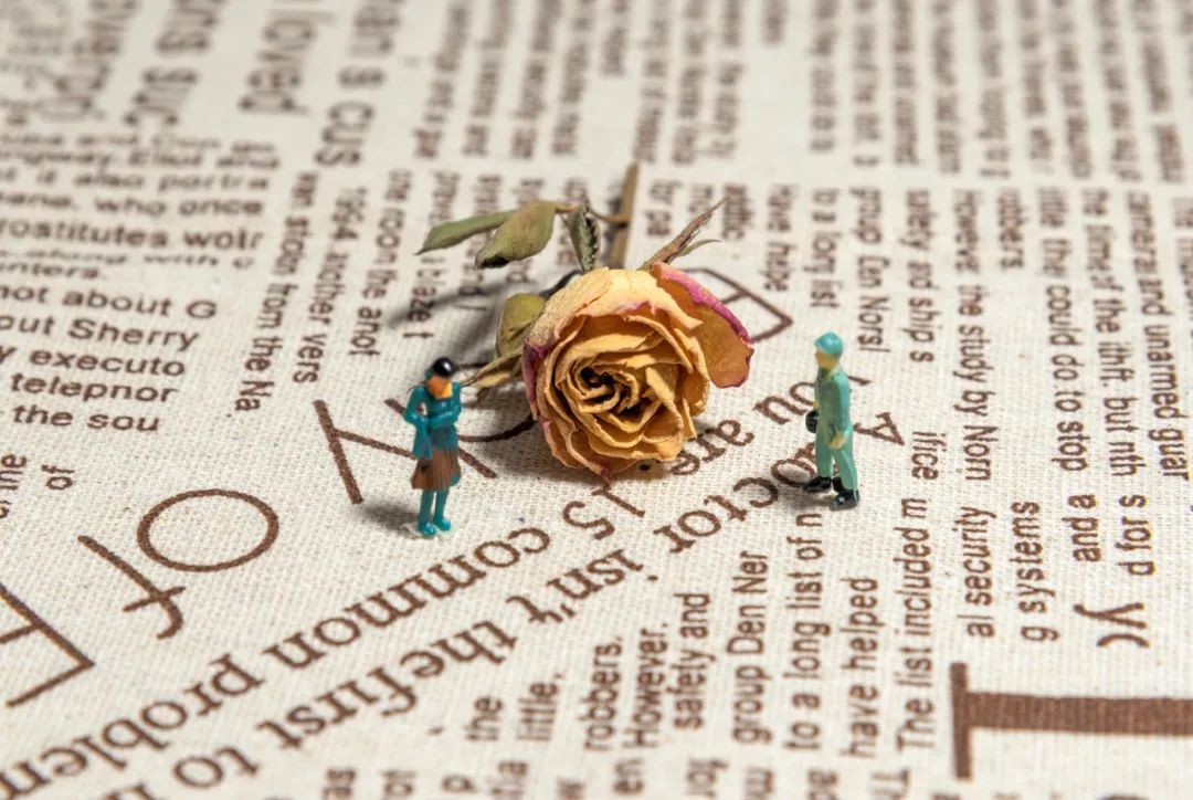 Understanding 'Can' and 'Cannot': A Guide to Usage