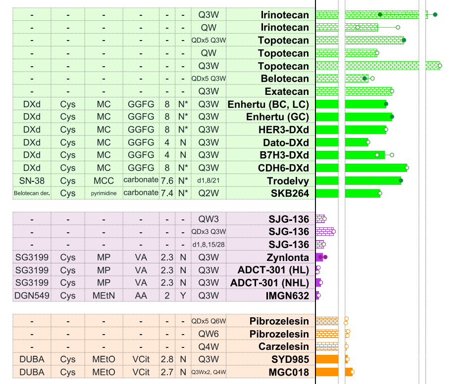 Understanding ADC Treatment Windows