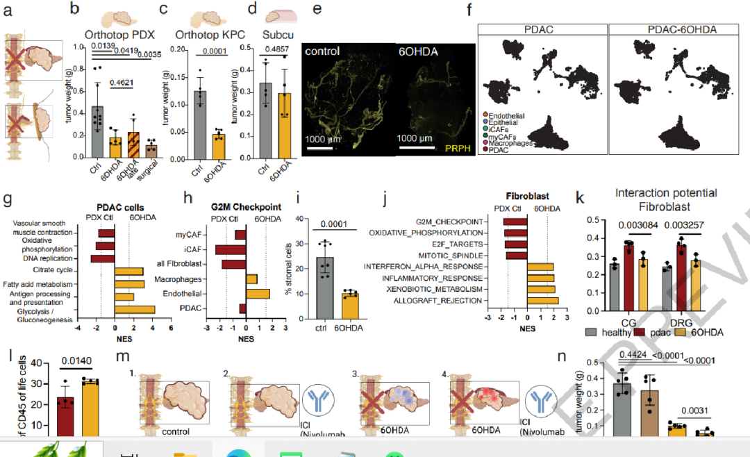 Research Perspective: Single Neuron - Single Cell Resolution Trace-n-seq
