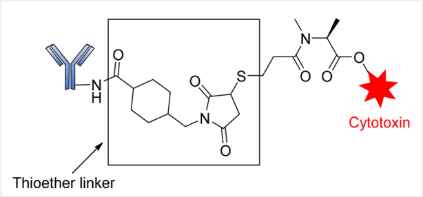 In-Depth Analysis of Antibody-Drug Conjugates (ADC) - Part 3
