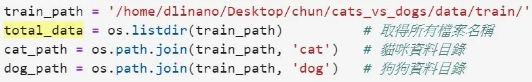 Building a Simple Cat-Dog Classifier with NVIDIA Jetson Nano