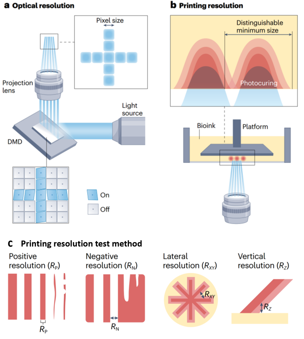 High-Resolution Projection-Based 3D Bioprinting Review