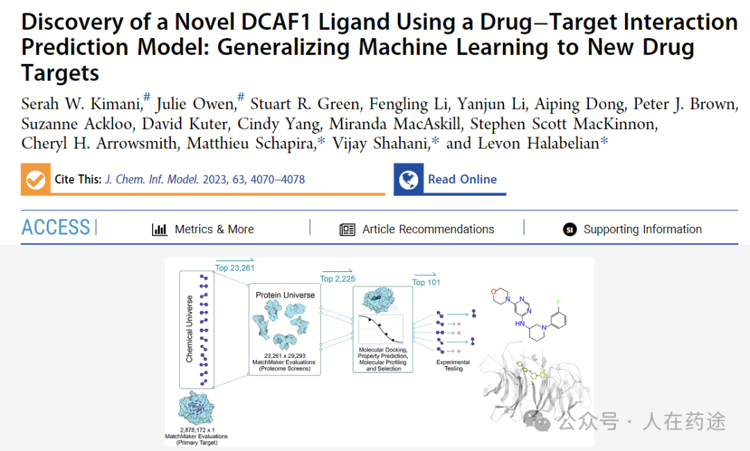 The Future of PROTACs and Molecular Glue: E3 Ligand Development Overview