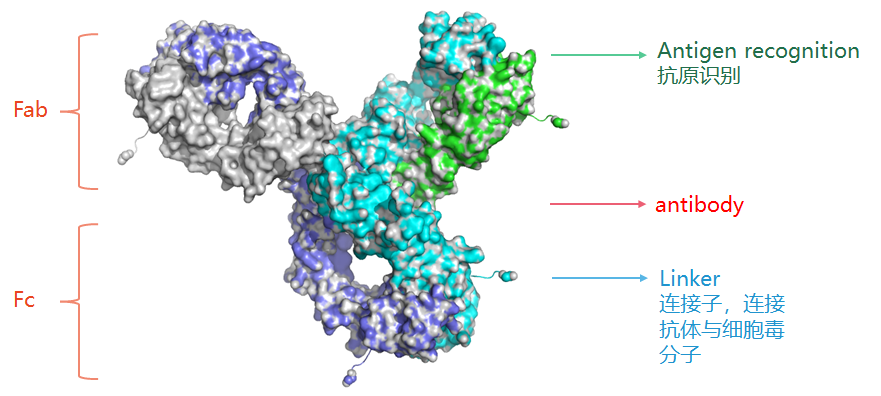 Development of Analytical Methods for ADC Drugs