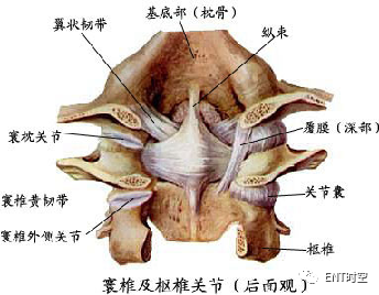 Diagnosis and Treatment of Adenoid Hypertrophy and Complications