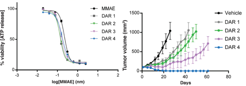 The Structure-Activity Relationship of ADCs