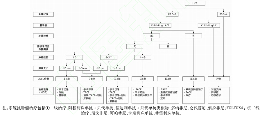 Overview of Diagnosis and Staging of Primary Liver Cancer
