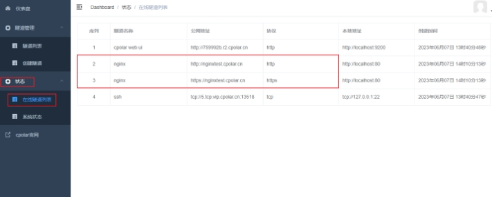 No Public IP Needed! Access Local Sites Anytime with Raspberry Pi and Nginx