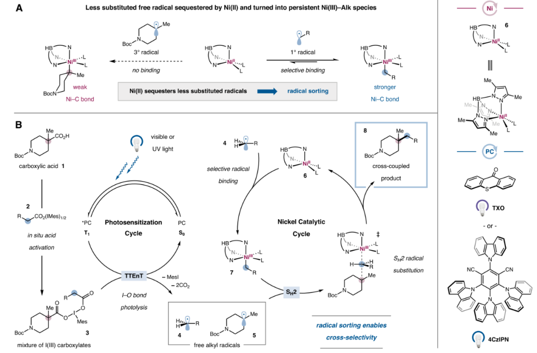 Nickel-Catalyzed Double Decarboxylative Cross-Coupling of Aliphatic Carboxylic Acids