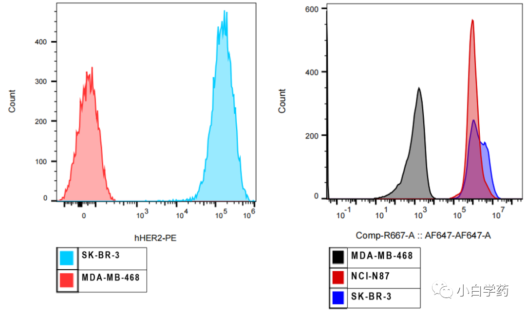 Non-Clinical Research of ADC Drugs