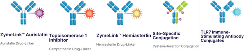 Zymeworks: Overview of Leading ADC Platforms