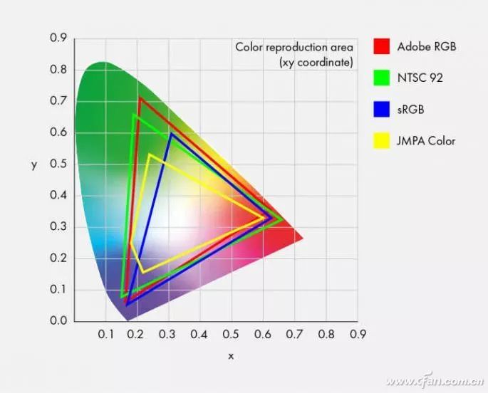 What Is Most Important Beyond Size in Monitors? You Really Don’t Know