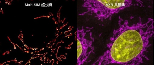 Training Notification for Multi-SIM AXR Multimodal Super-Resolution Confocal Microscope
