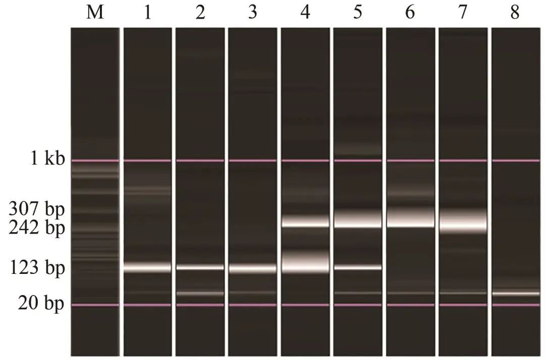 Establishment of Duplex RT-PCR Detection Method for Two Common Viruses in Tilapia