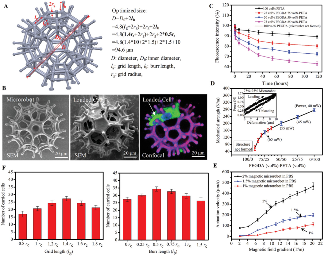 Degradable Microrobots for Targeted Cancer Therapy