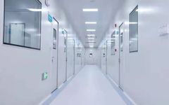 Essential Tests for Endometrial Cancer - POLE Gene Testing