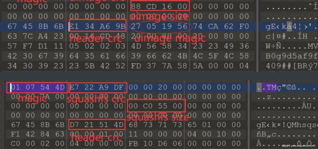 Injecting Controllable Programs into a Camera via SD Card
