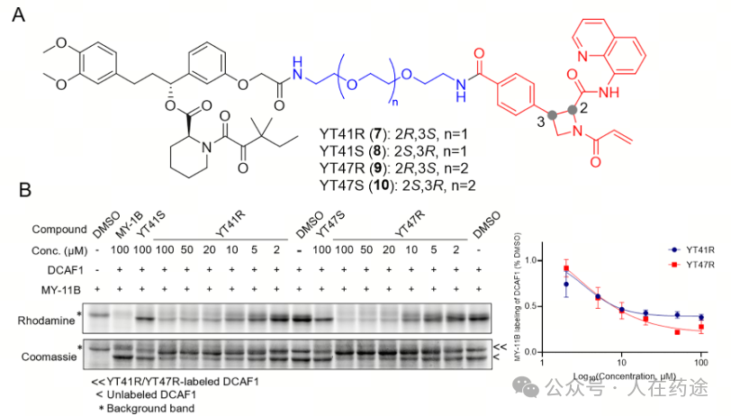 The Future of PROTACs and Molecular Glue: E3 Ligand Development Overview