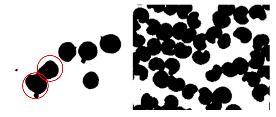 Unlocking Various Technical Skills in ImageJ