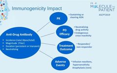 Discussing Immunogenicity of ADCs
