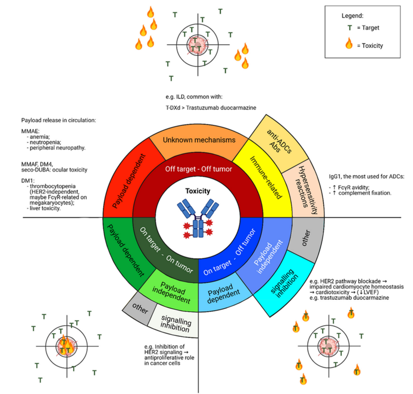 Antibody–Drug Conjugates for Breast Cancer Treatment