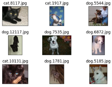 Building a Simple Cat-Dog Classifier with NVIDIA Jetson Nano