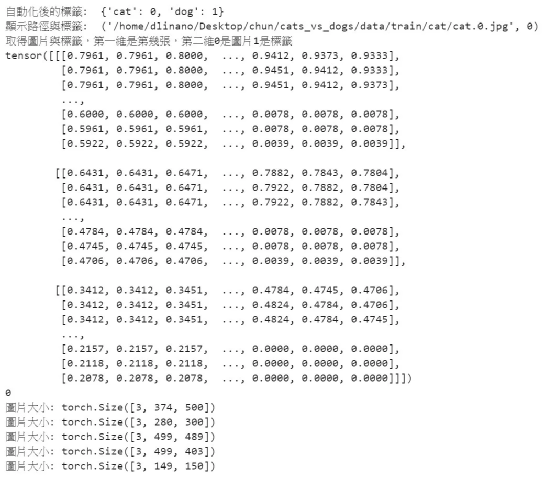 Building a Simple Cat-Dog Classifier with NVIDIA Jetson Nano