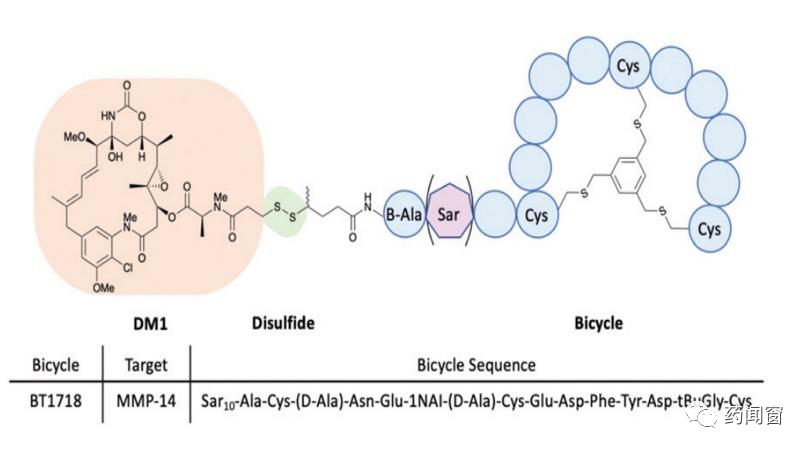Another Domain of Drug Conjugation: PDC