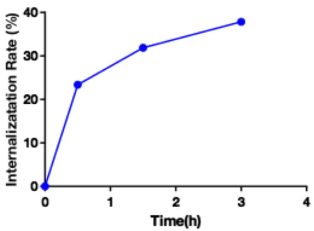 Innovative Delivery: Comprehensive Analysis of 'Magic Bullet' ADC Drug Screening