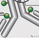ADC Technology: Innovations from Five Key Elements