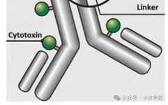 ADC Technology: Innovations from Five Key Elements