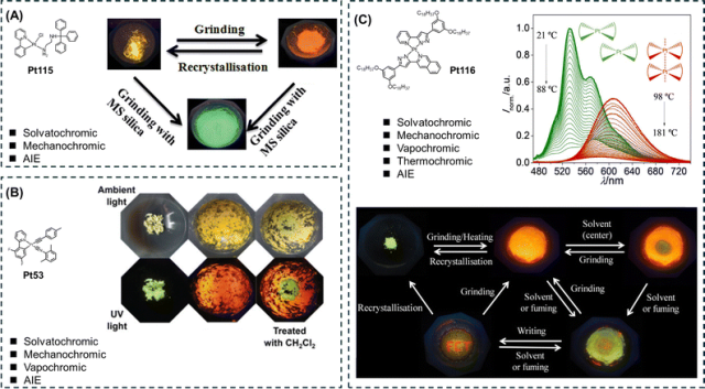Review of AIE Platinum Complexes by Academician Tang and Professors Lin and Guo