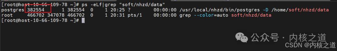 GDB Debugging Postgres Kernel (Postmaster + Backend + Client DQL/DML Handling)