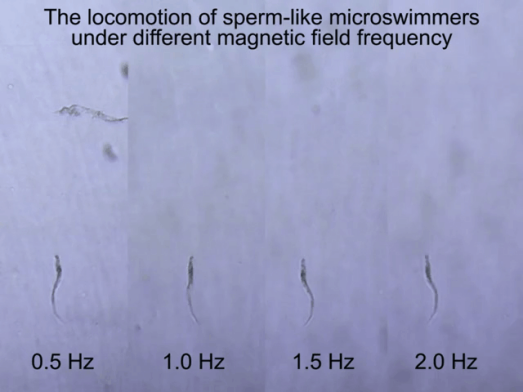 One-Step Formation Method of Sperm-Like Structure Microrobots for Drug Delivery