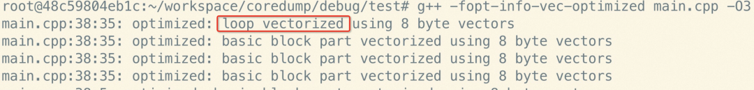 Exploring GCC Compilation Optimization Details from a Crash Issue